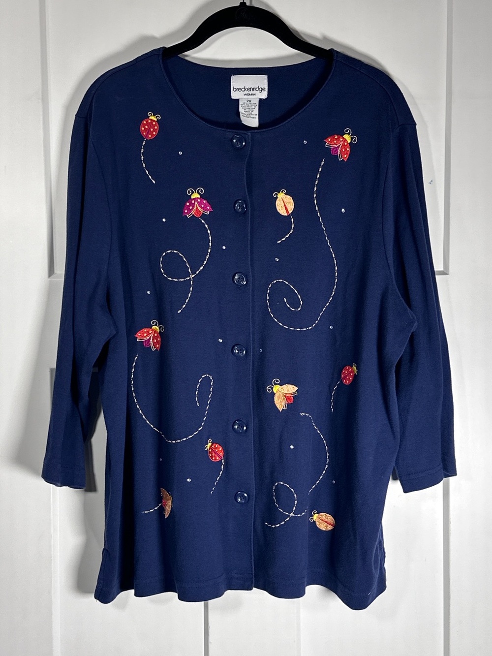 breckenridge Navy Button-Front Embroidered Ladybug Floral Top